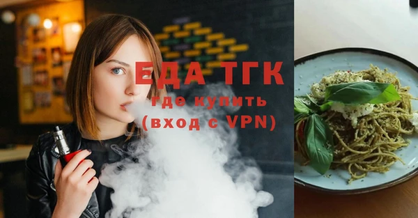 дмт Ельня
