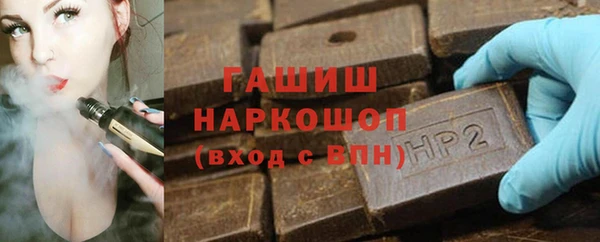 дмт Ельня