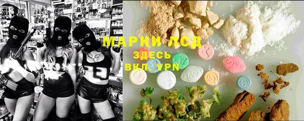 дмт Ельня