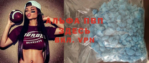 дмт Ельня