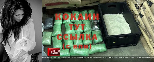 дмт Ельня
