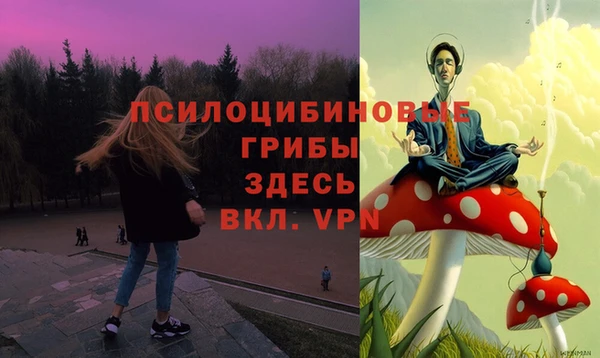 дмт Ельня
