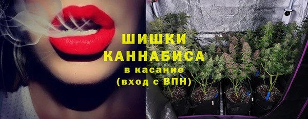 дмт Ельня