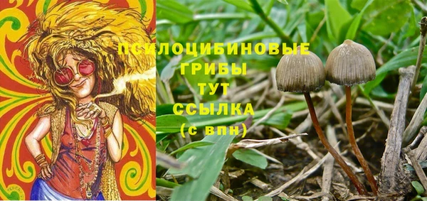 сатива Семилуки