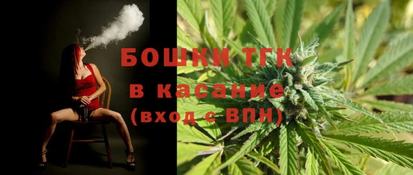 дмт Ельня
