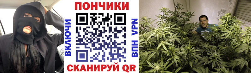 Каннабис планчик  kraken как войти  Жирновск  даркнет сайт 